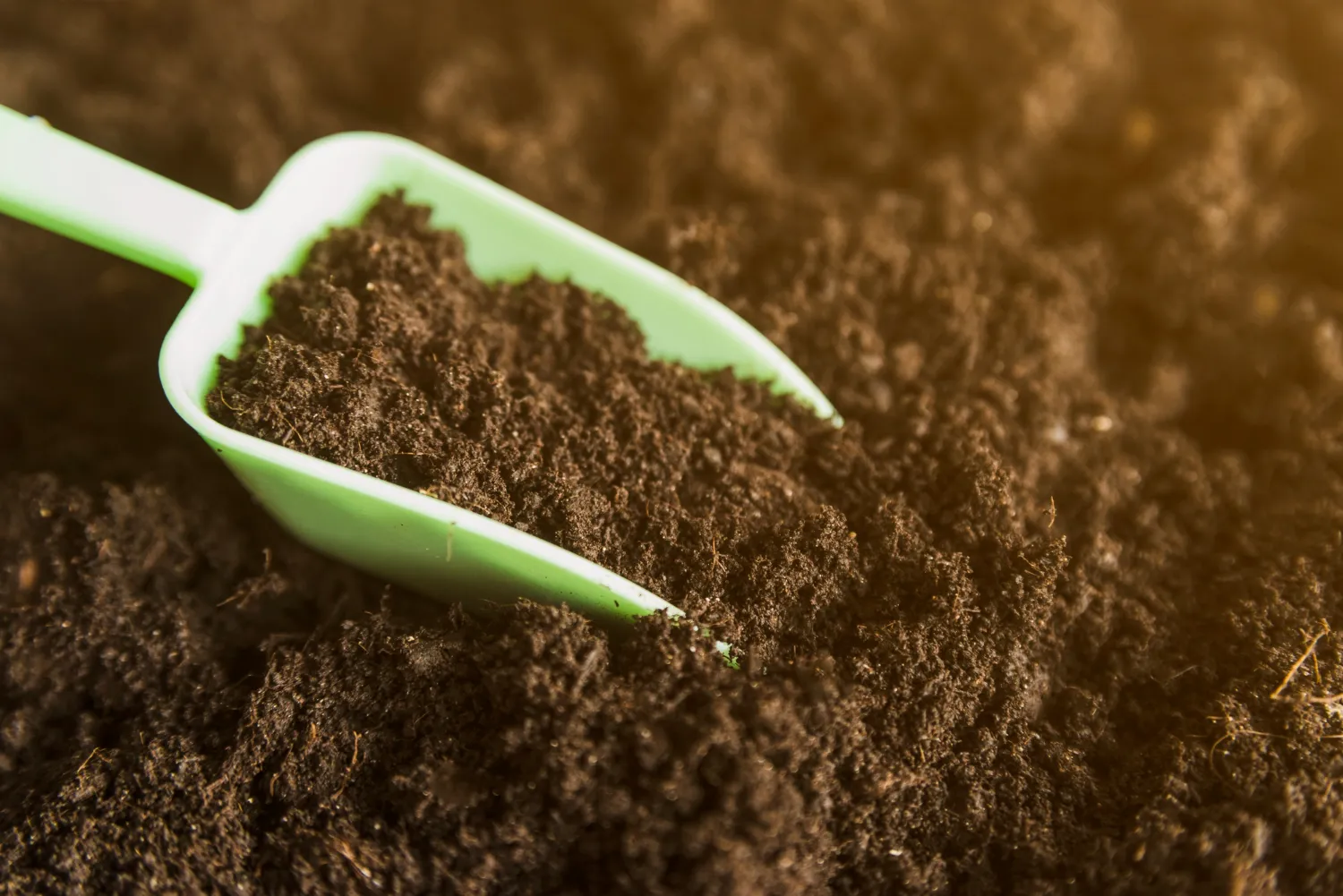 The Benefits of Organic Fertilizers for Soil Health