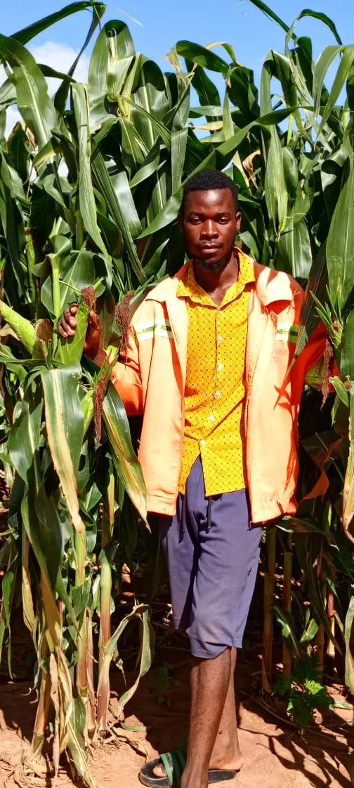 Mkushi Project
